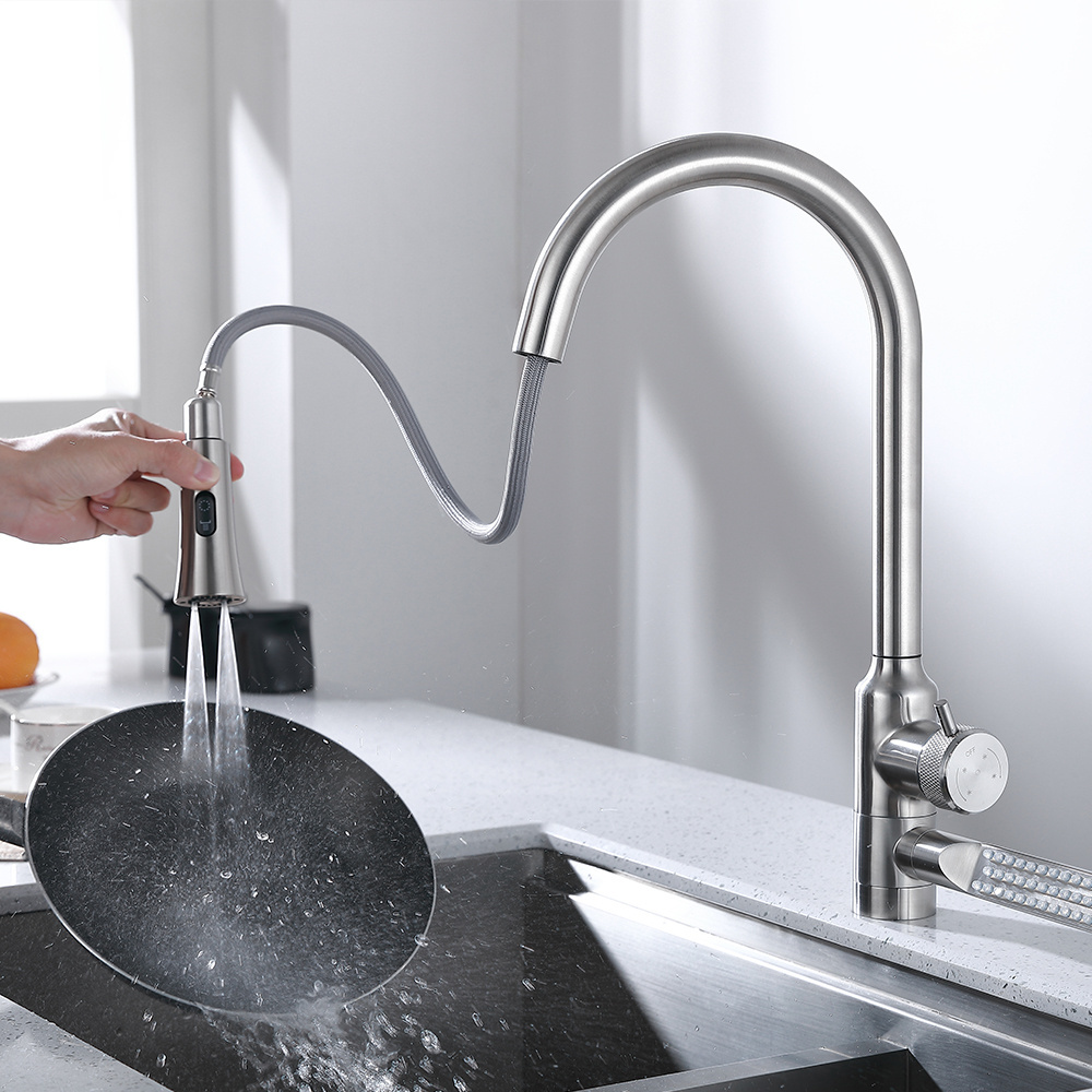 Modern Hot Cold Multifunctional Shower Waterfall Kitchen Sink Faucet With Water Fall