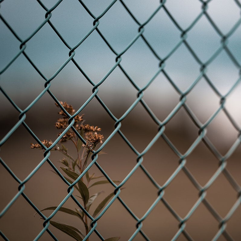 High quality PVC Black Vinyl Coated Chain Link Fence For Garden