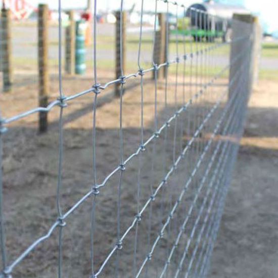 wholesale galvanized grassland wire mesh fence cattle / sheep / field / deer farm fence