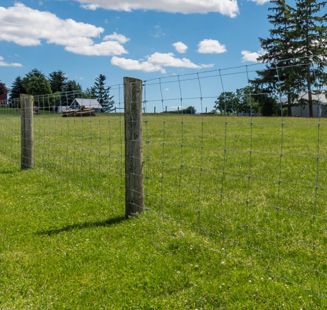 wholesale galvanized grassland wire mesh fence cattle / sheep / field / deer farm fence