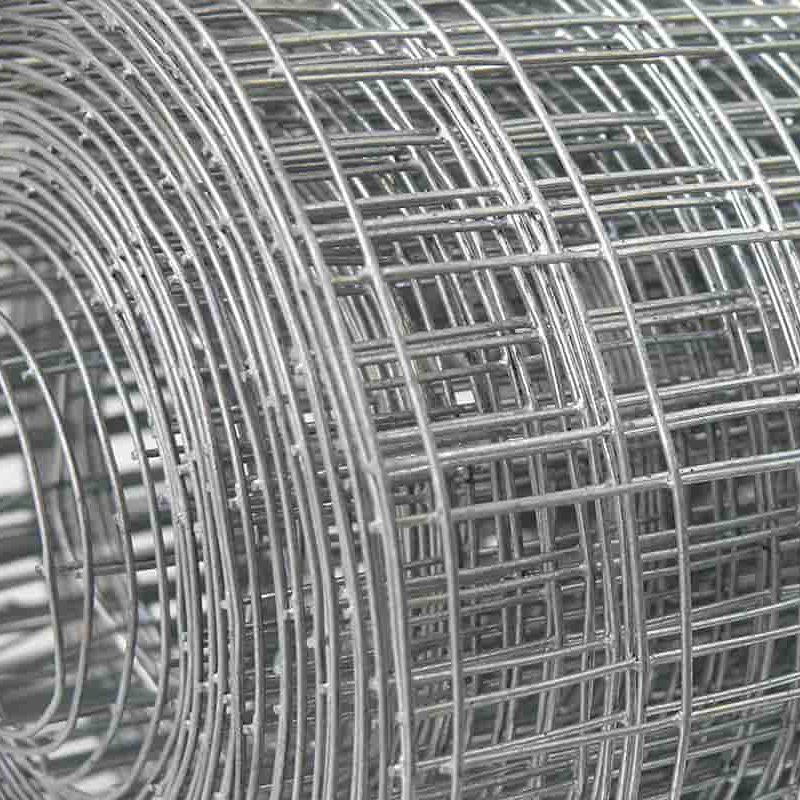 Hot Dipped Galvanized Dire Netting  Welded Wire Mesh for rabbit bird Animal Pet Cages