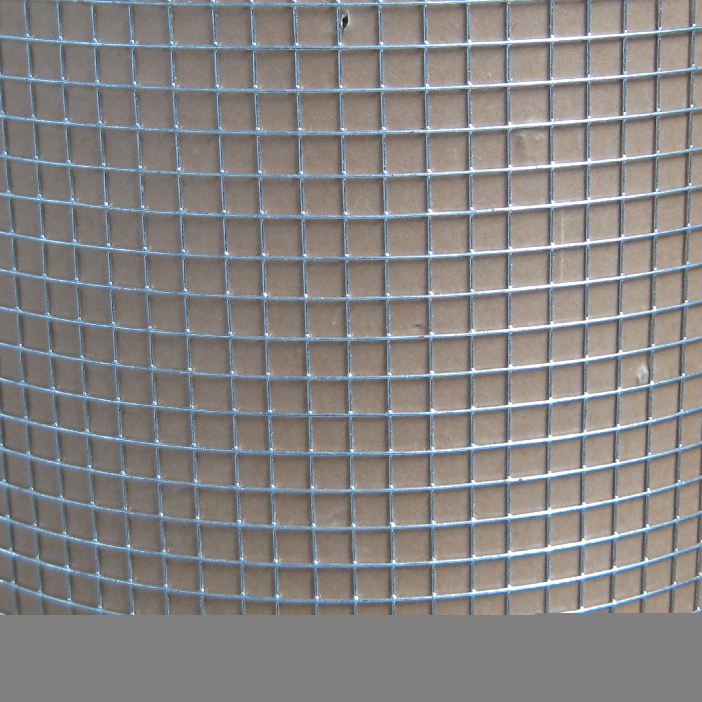 Hot Dipped Galvanized Dire Netting  Welded Wire Mesh for rabbit bird Animal Pet Cages