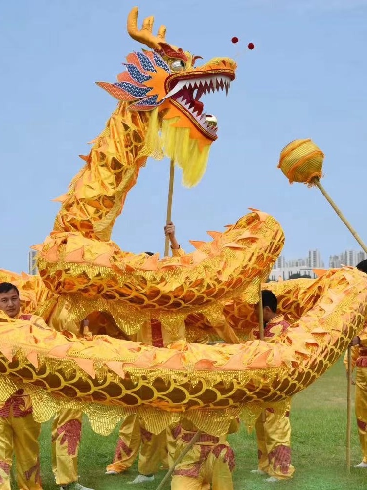 dragon dance costume dragon dance chinese dragon dance chinese lion and costume