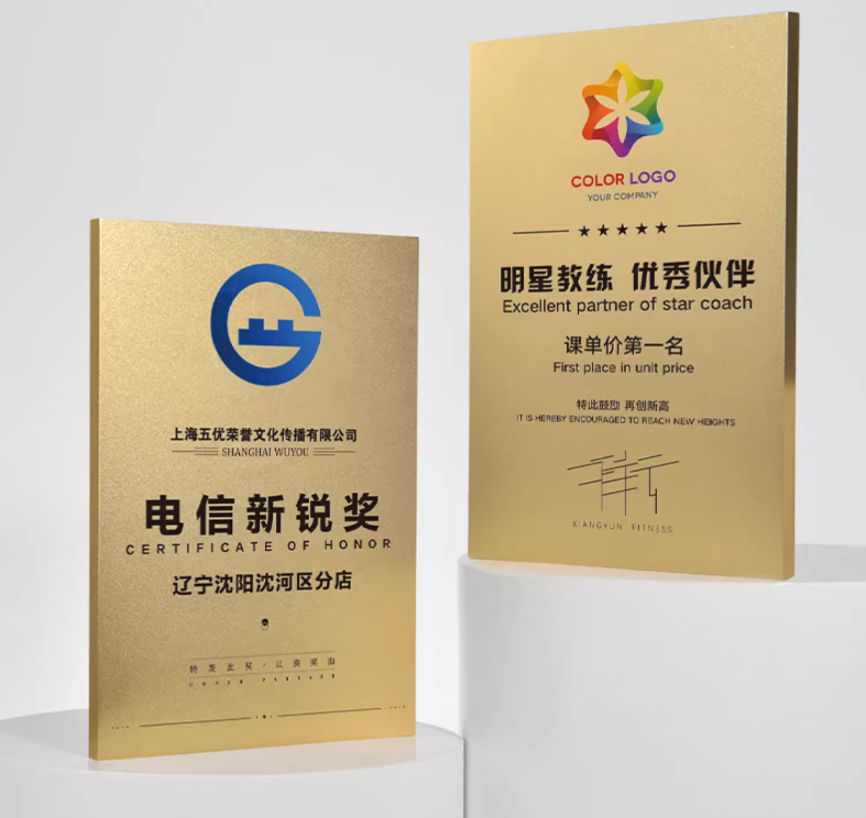 Custom gold Aluminum plaque trophy employee awards for corporate recognition