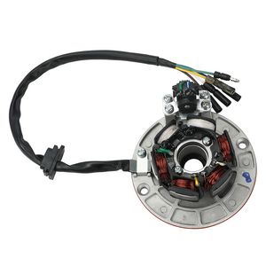 Motorcycle 12V AC Ignition Magneto Stator Flywheel kit With Light For YX 140cc 150cc 160cc BSE SDG SSR Pitsterpro Dirt Bike