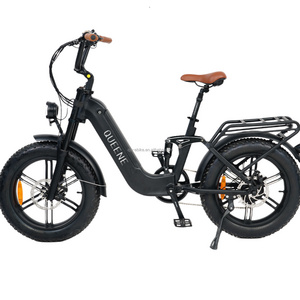 QUEENE/Popular model 750/1000w suspension ebike 20 inch fat tire electric bike