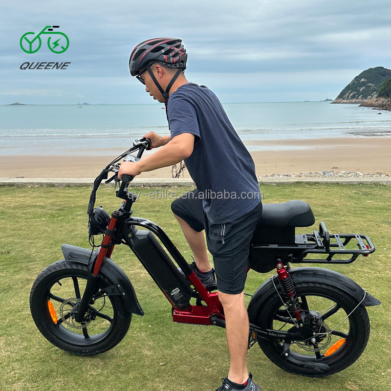 Queene 2023 New Retro Vintage Super Electric Hybrid Bike 20 Inch 73 Fat Tire Long Range 60V Ebike with Integrated Battery