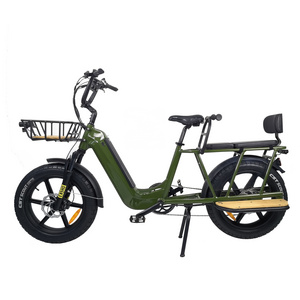 QUEENE/48v 500w 750w electric Green Power bicycle fat tire electric bicycle cargo ebike for family child