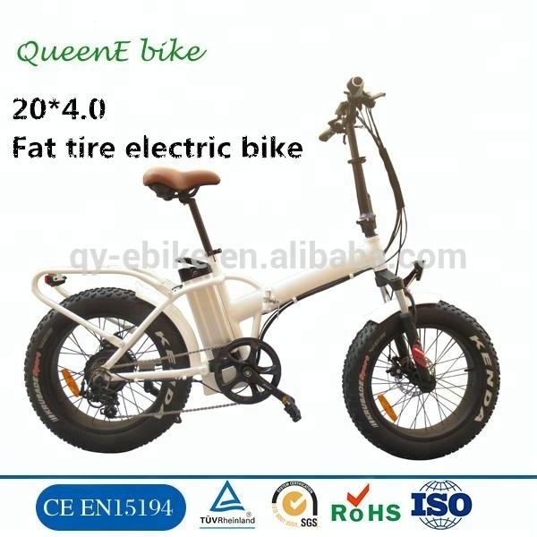 QUEENE/OEM folding e-bike/20''makita electric bike