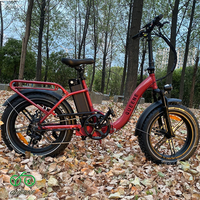 QUEENE/20*4.0 750W-1000W Aluminum Frame Fat Tire Electric Folding Bike Big Power Snow Bike electric bicycle fat tire