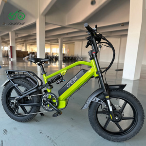 QUEENE Stock E-bike 48v 750w 1000w Electric Bicycle High Speed electric fat tire bike