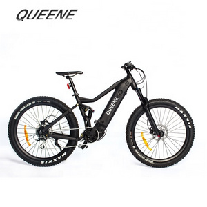 QUEENE/Christmas Bonus Elyxsmart Mountain Bike 48V Bafang Mid Drive Motor Electric Bike Adult Free Ride Bike Bicycle