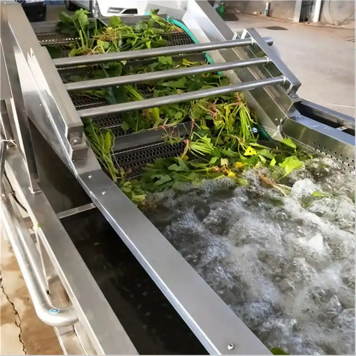 Vegetable potato taro pumpkin fish cleaning avocado sea cucumber cleaning machine roller brush washing peeling machine