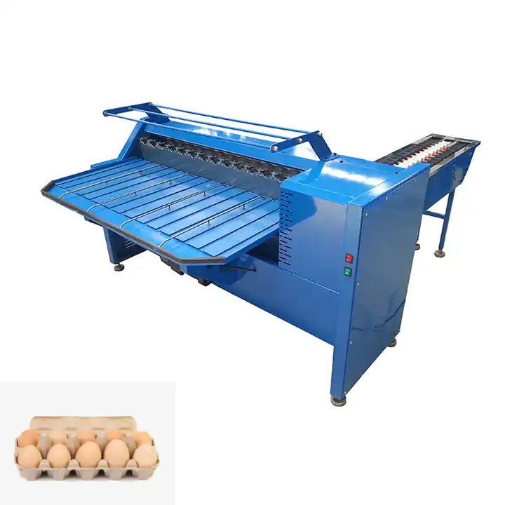 Chicken eggs washing and cleaning machine/ 10 000 eggs per hour / stainless steel egg washer for poultry farm