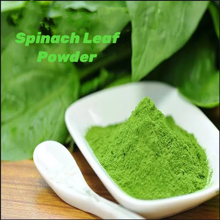 Organic Product Supply Organic Water Soluble Spinach Leaf Juice Powder Product wholesale price for sale