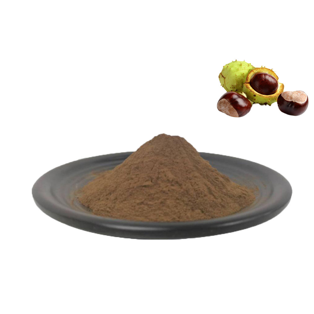 Free Sample 20% Aescin Aesculus Hippocastanum Horse Chestnut Extract for Hot Sale