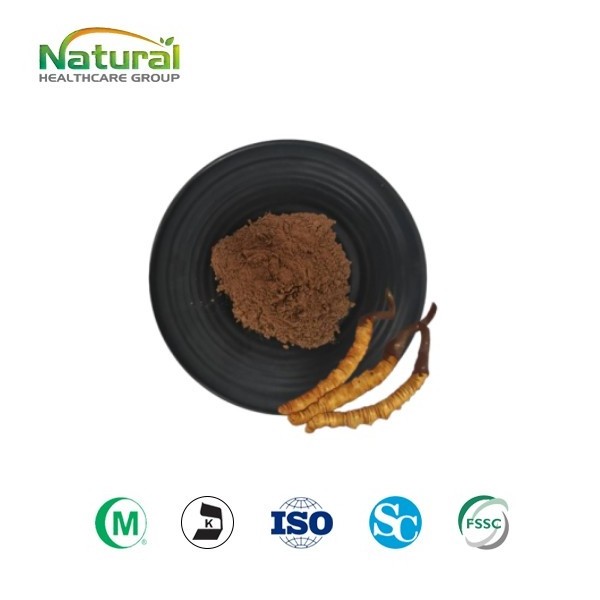 Organic Product QYHerb Supply high quality Cordyceps Sinensis Extract Powder Product Sinensis Extract 10:1 30:1 50:1 wholesale price for sale