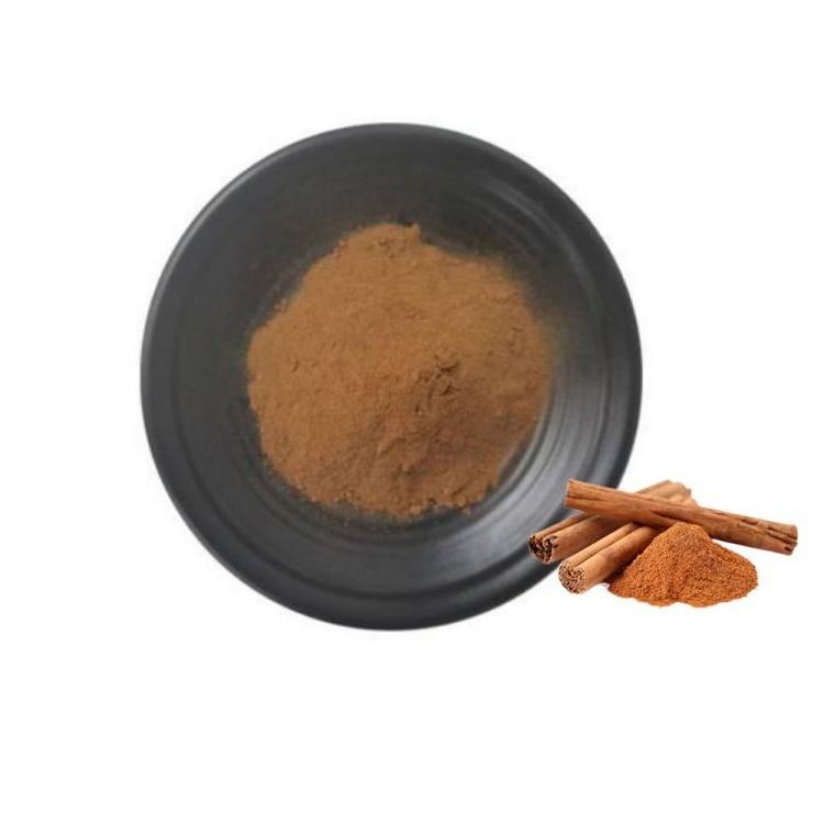 Free sample pure botanical extract Cinnamon Bark Extract 30% polyphenols Cinnamon Bark Extract