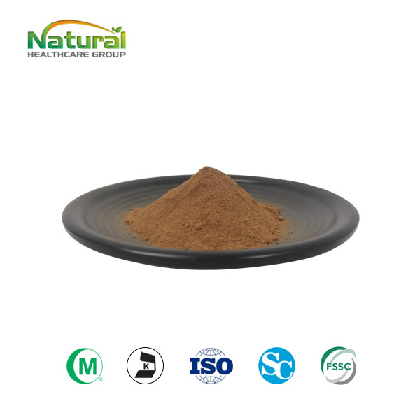 HACCP Factory Supply Plant Extract Powder Tea Tree Mushroom Extract 40% Polysaccharide /Agrocybe Aegerita Extract