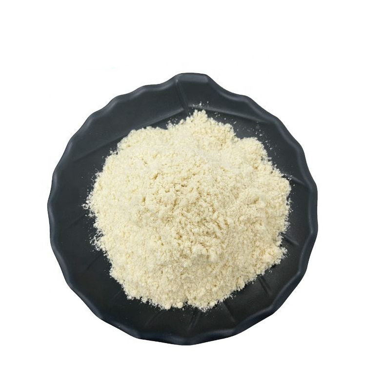 GMP Factory Almond Milk Powder in Bulk almond protein powder