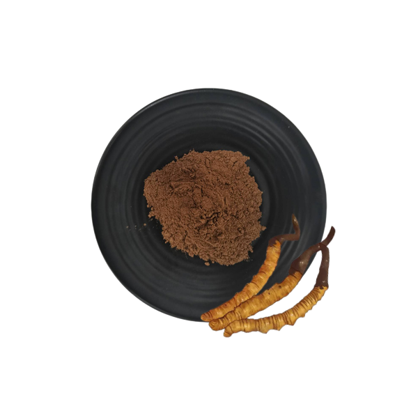 Organic Product QYHerb Supply high quality Cordyceps Sinensis Extract Powder Product Sinensis Extract 10:1 30:1 50:1 wholesale price for sale