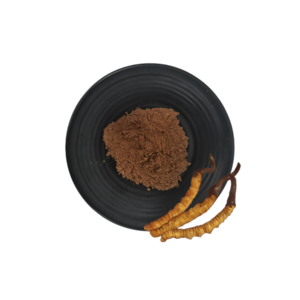 Organic Product QYHerb Supply high quality Cordyceps Sinensis Extract Powder Product Sinensis Extract 10:1 30:1 50:1 wholesale price for sale