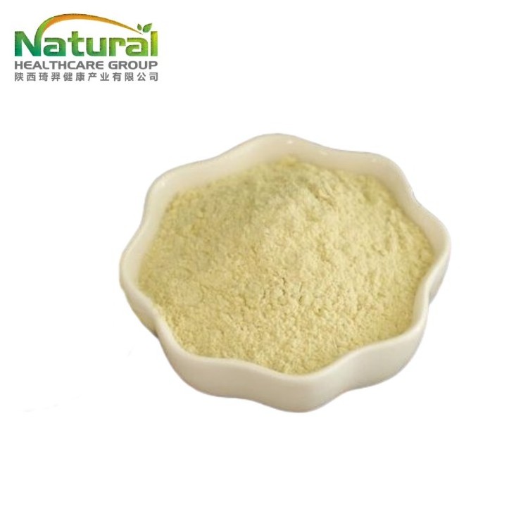 Organic Product FSSC22000 Standard Manufactory Supply Freeze Dried Lemon Powder Best Food Grade Lemon Fruit Powder/Lemon Juice Powder