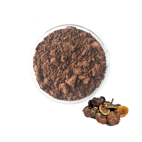 HACCP Certificated Best Grade Ganoderma Lucidum Extract Powder OEM Ganoderma Lucidum Powder Capsules