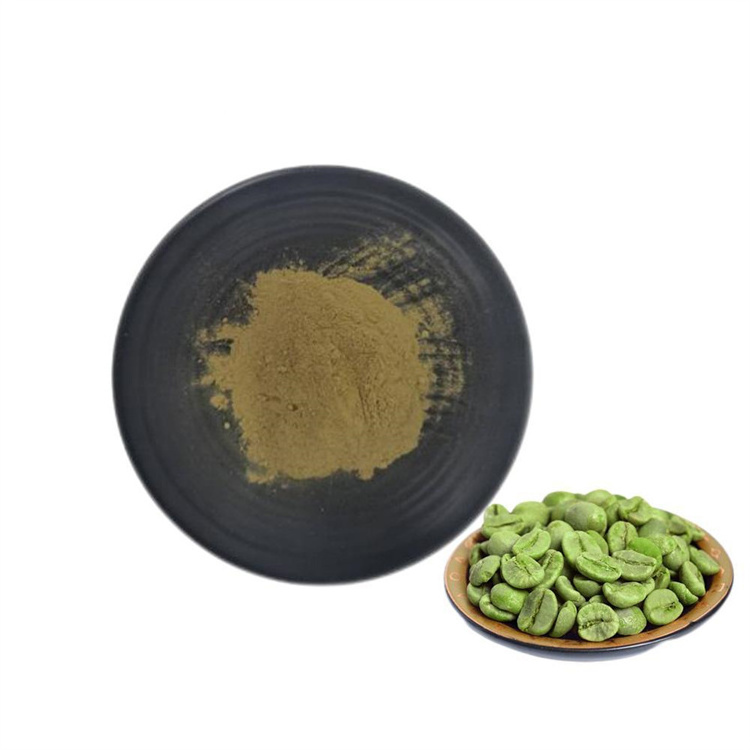 GMP standard Natural Anti oxidant Chlorogenic acid Green Coffee Bean Extract