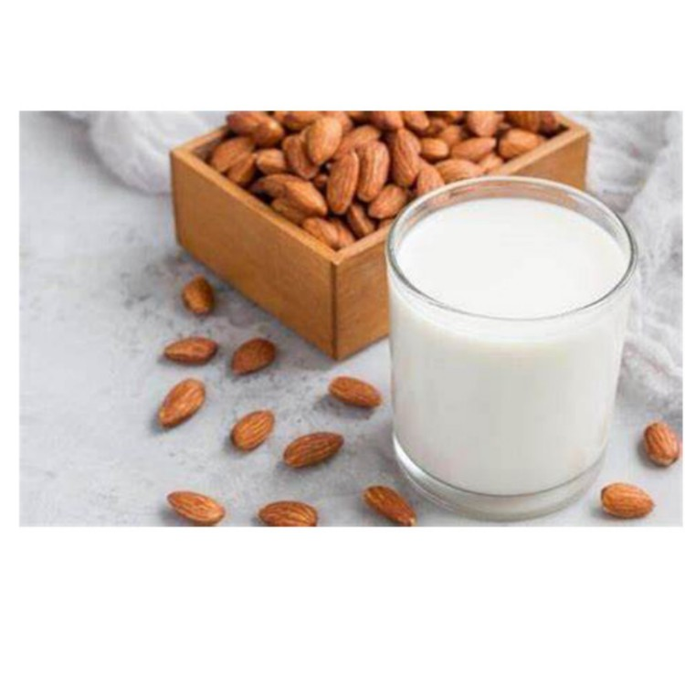 GMP Factory Almond Milk Powder in Bulk almond protein powder