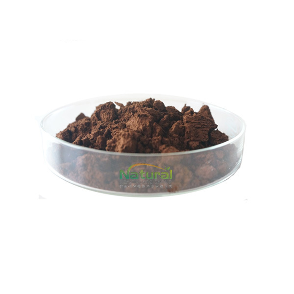 HACCP Certificated Best Grade Ganoderma Lucidum Extract Powder OEM Ganoderma Lucidum Powder Capsules