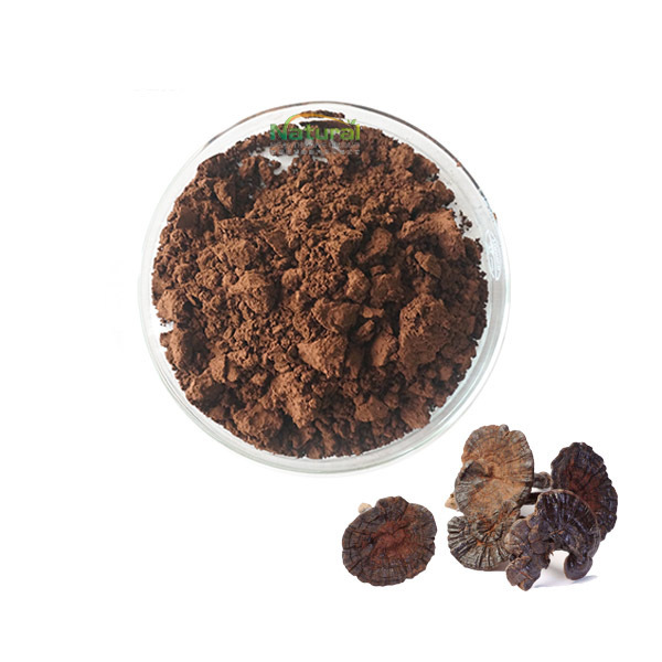 HACCP Certificated Best Grade Ganoderma Lucidum Extract Powder OEM Ganoderma Lucidum Powder Capsules