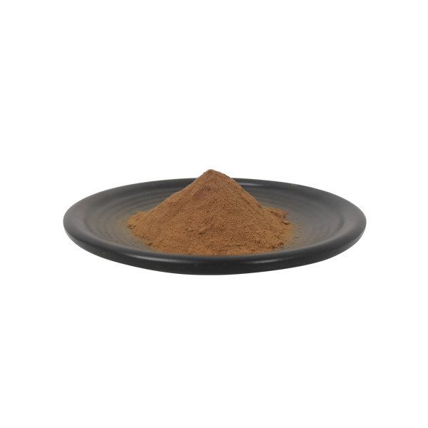 HACCP Factory Supply Plant Extract Powder Tea Tree Mushroom Extract 40% Polysaccharide /Agrocybe Aegerita Extract