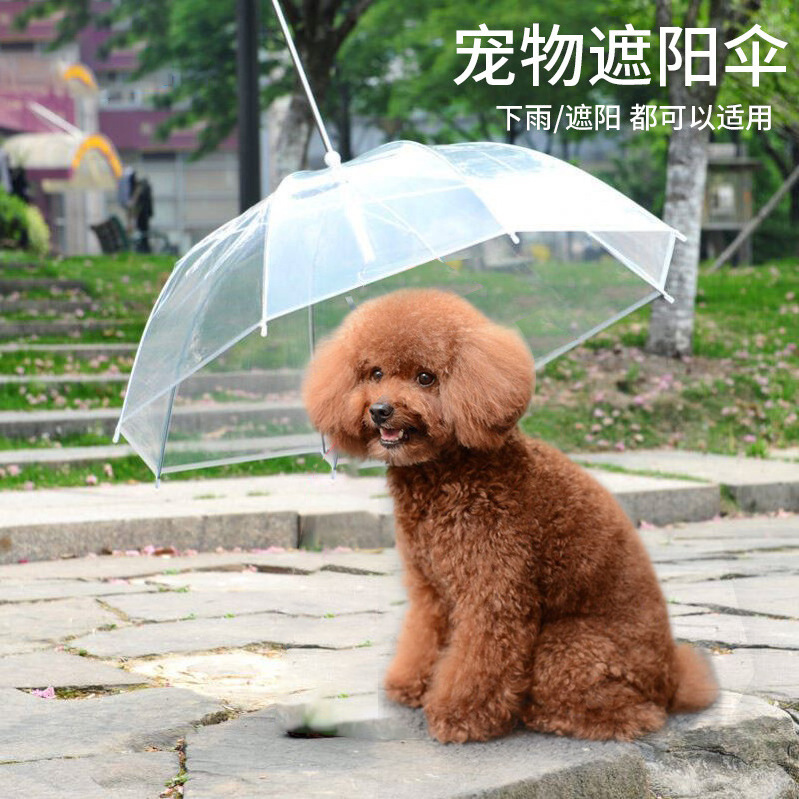 2024 hot sale Transparent clear waterproof pet rain gear dog cat umbrella