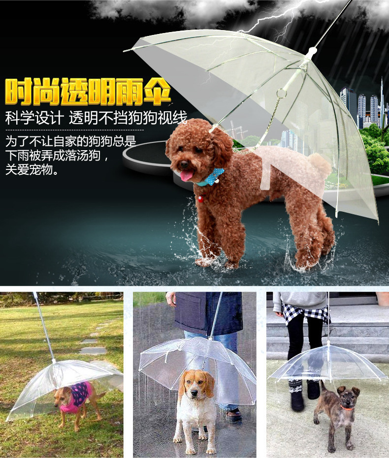 Dog umbrella for pets rain walking dog magic Corgi raincoat transparent teddy small and medium sized dog