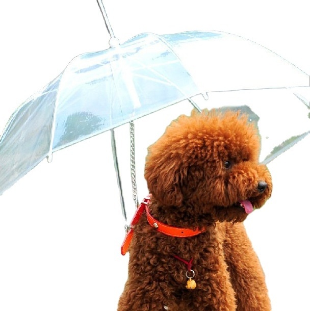 Dog umbrella 2024 hot sale Transparent clear waterproof pet rain gear dog cat umbrella