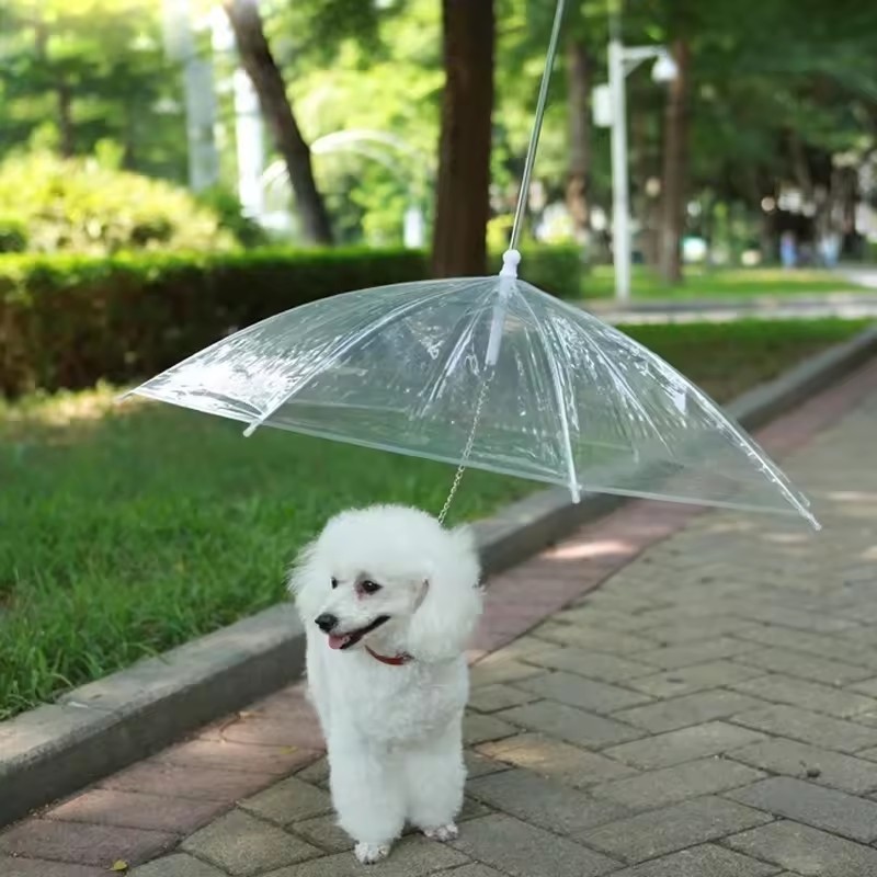 Outdoor Pet Dog Transparent Umbrella