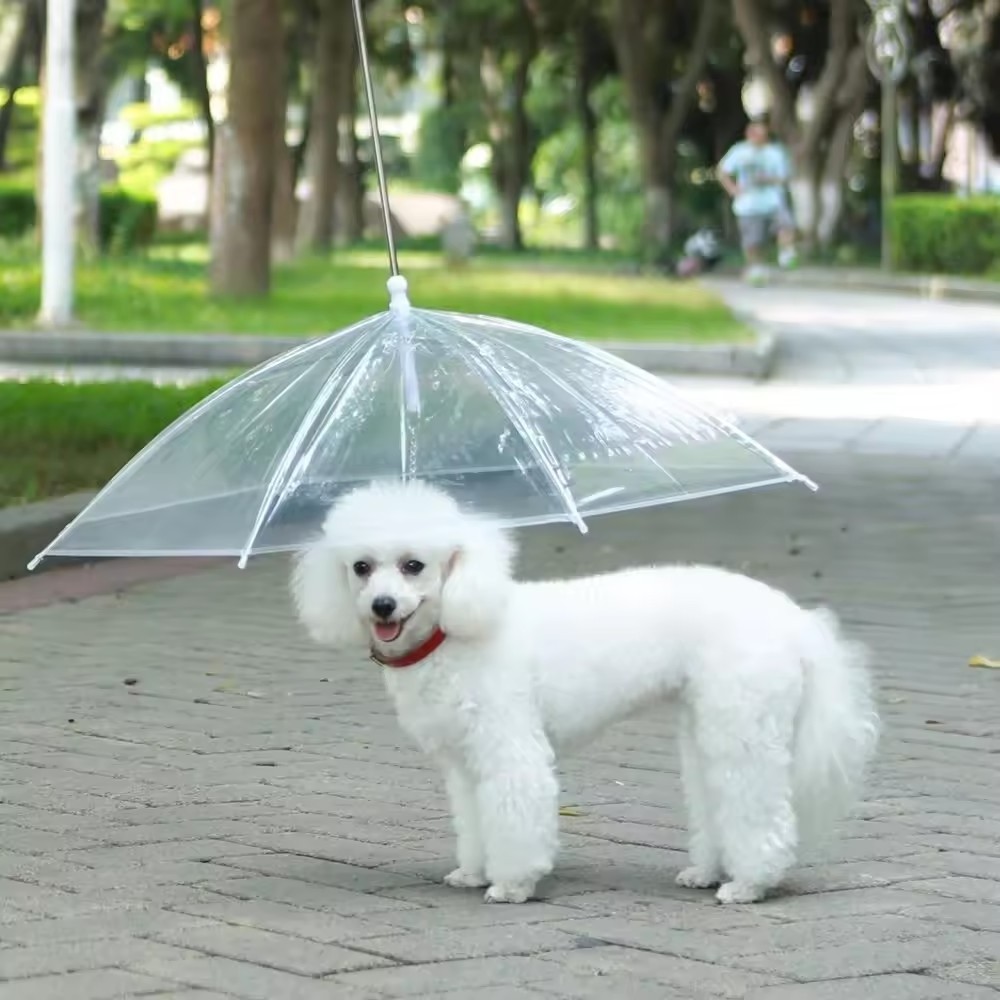 2024 Newly Waterproof Transparent Plastic Pet Umbrella For Dog Pet With Leash