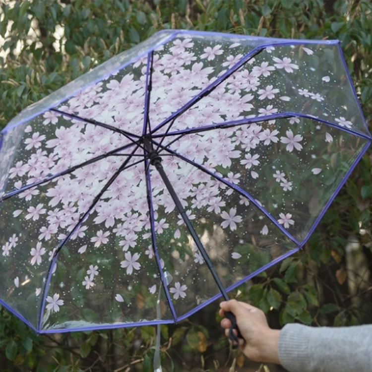 Sakura clear wedding cherry blossom ladies transparent folding umbrellas