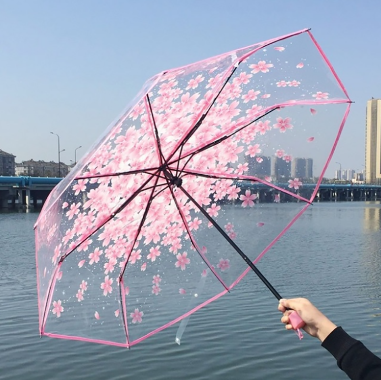 Sakura clear wedding cherry blossom ladies transparent folding umbrellas