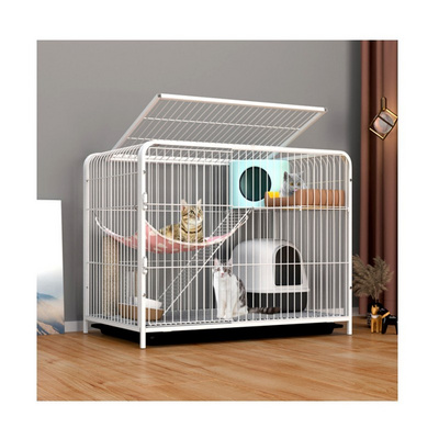 Kitten crate best sale