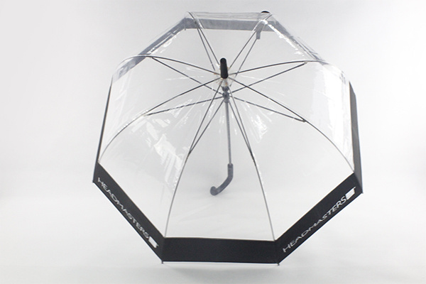 2023Hot sale popular Apollo umbrella POE clear transparent umbrella dome shape  plastic umbrella