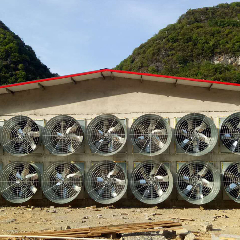 Poultry House Fan Ventilation Fan Exhaust Fan For Greenhouse Use Chicken Farm Chicken Shed