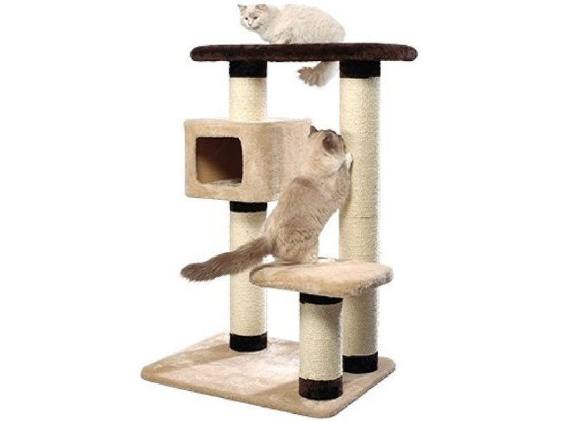 Big Cat Tree House Tower With Toys Petty Love Cat Climbing Sports Pet House Cat Scratcher Tree Wholesale