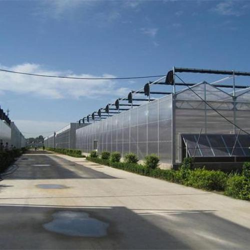 FUMA Manufacturer supply Venlo Type Glass Greenhouse for sale