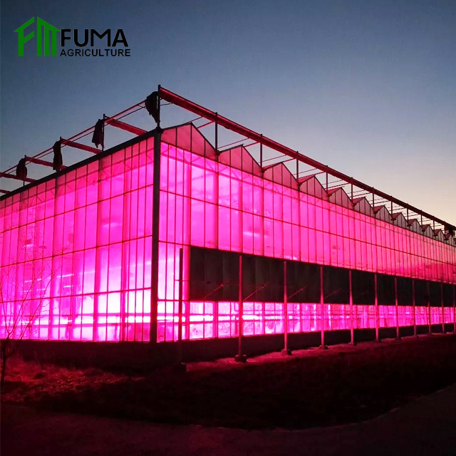 FM prefab tomato mushroom green house net equipment used glass greenhouse parts for sale