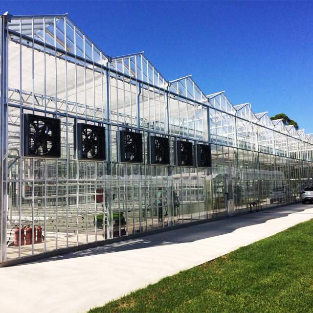 FM prefab tomato mushroom green house net equipment used glass greenhouse parts for sale