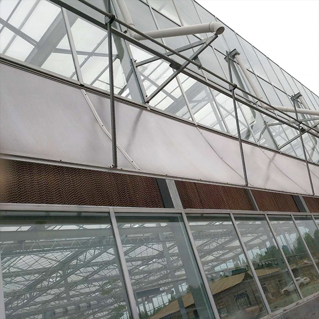 FUMA Manufacturer supply Venlo Type Glass Greenhouse for sale