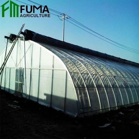 High tunnel tomato greenhouse with shade net agricultural green houses