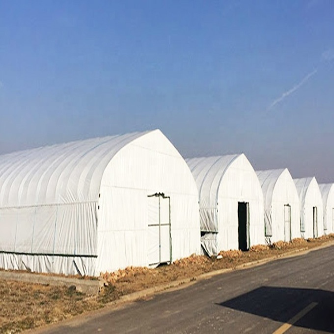 FM Prefab Galvanized Steel Frame Single Span Film Poly Tunnel Green House Used Greenhouse Cooling System Accessories For Sale